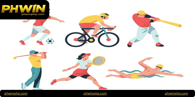 Comparing Phwin Sports Betting Features
